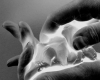 pierre fauret-sculpture-installation-photo