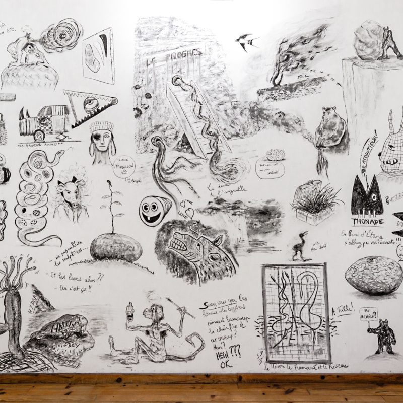 mur_bages-zm mur_bages-zm